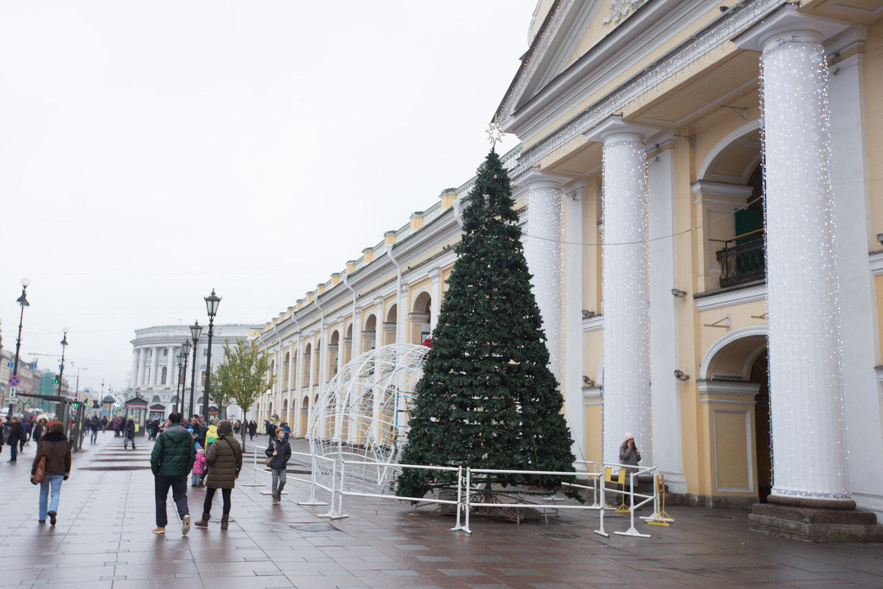 Липы у гостиного двора