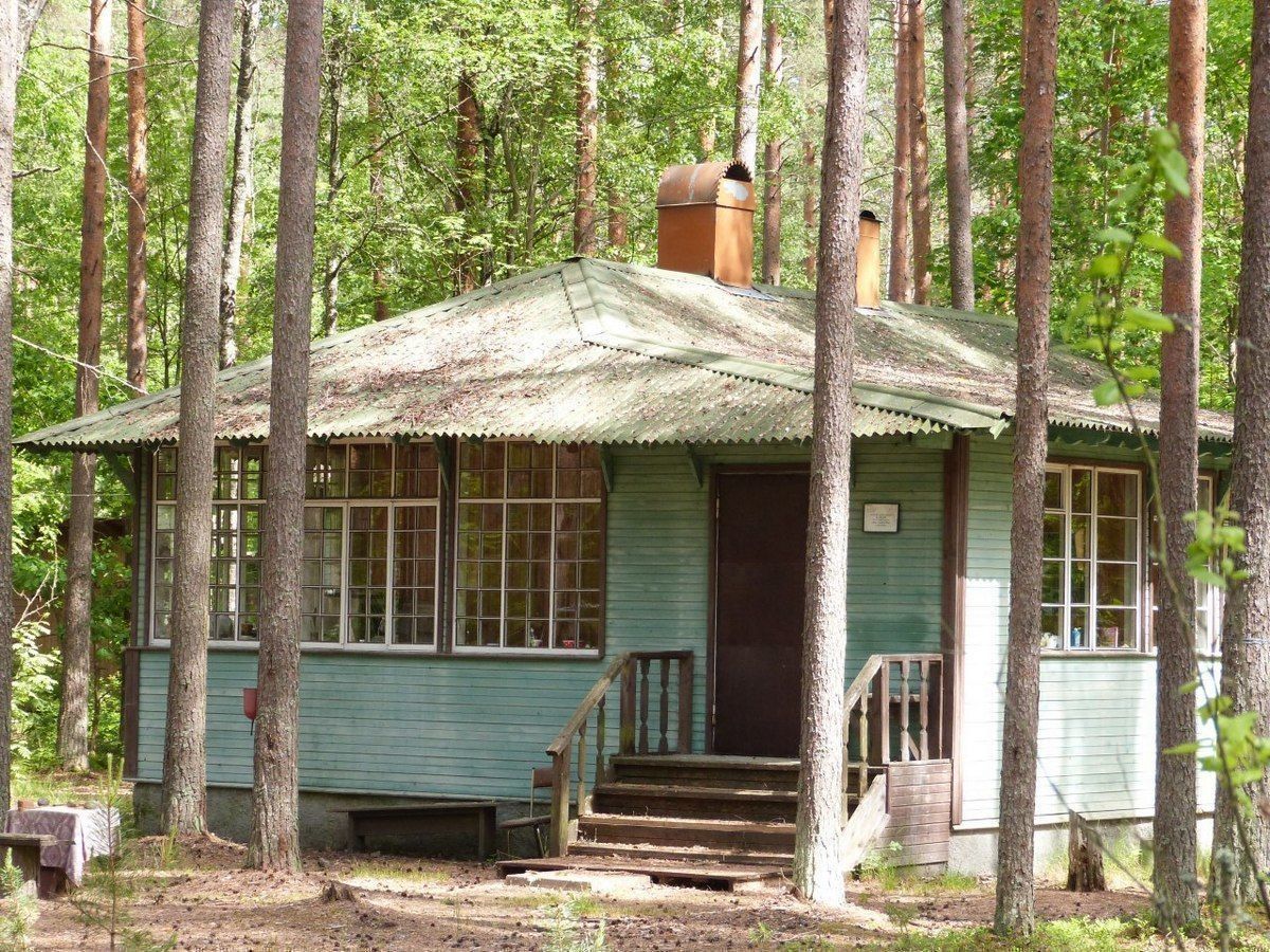 В этом дачном поселке ахматова получила дом в 1955 году