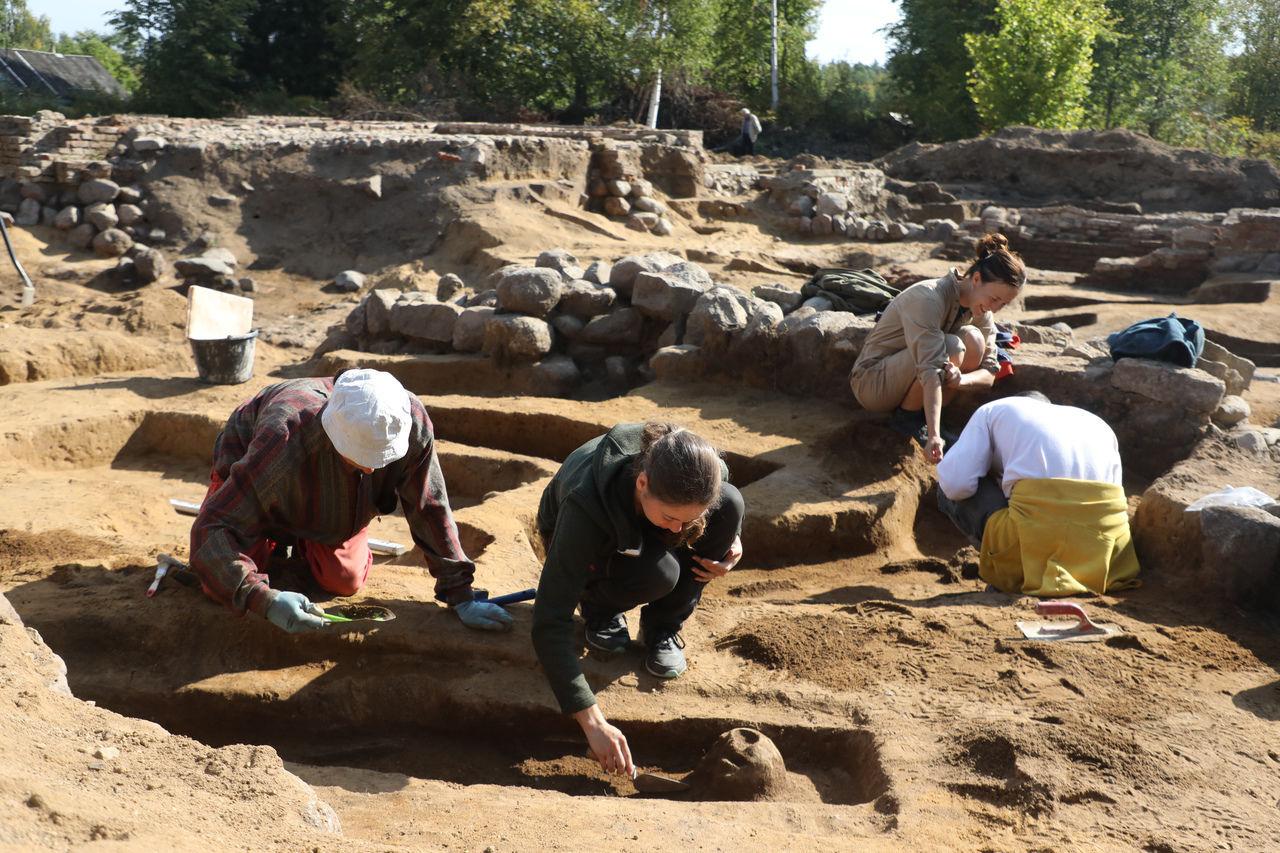 Провести археологические раскопки