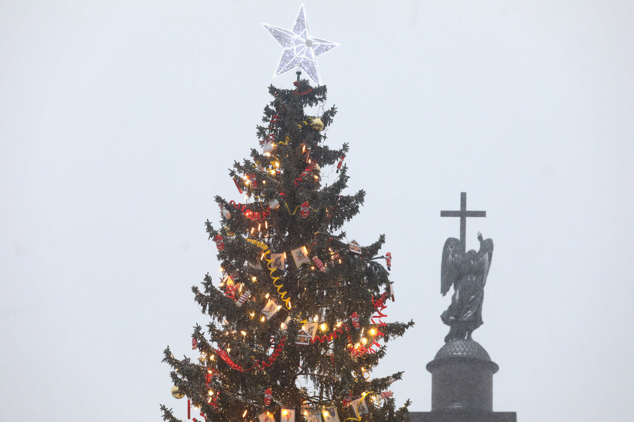 Петербуржцы решили, какой будет новогодняя елка
